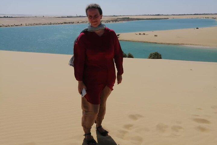 Visite privée de la vallée des baleines et des chutes d'eau de Wadi El Rayan