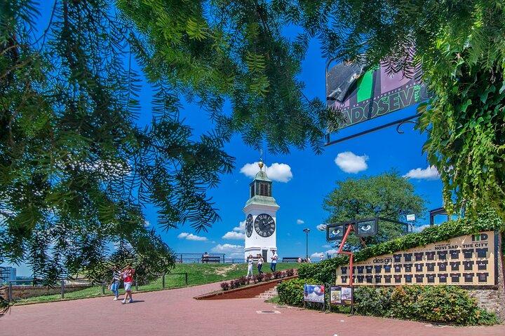 ベオグラードからの終日旅行：ノヴィ サド シティ ツアー（ワイナリー、城、教会）