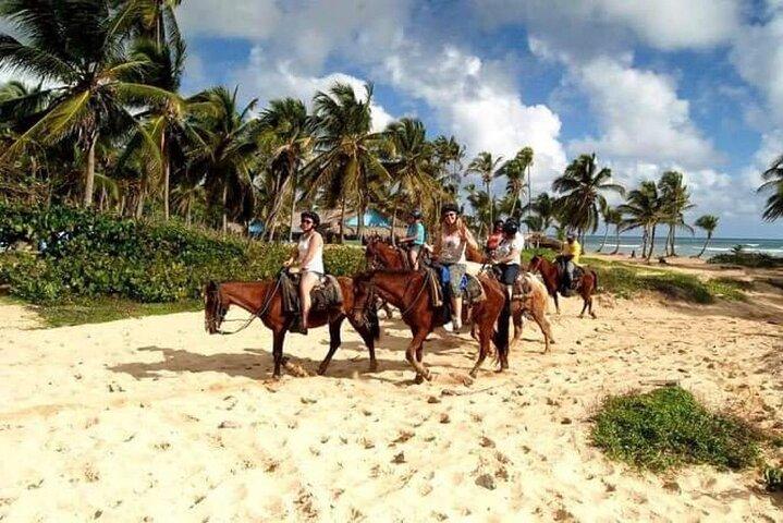 Pack d'essai Punta Cana