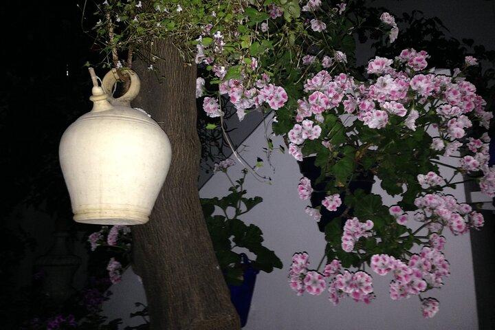 Cordoba Patios & Wine Tasting