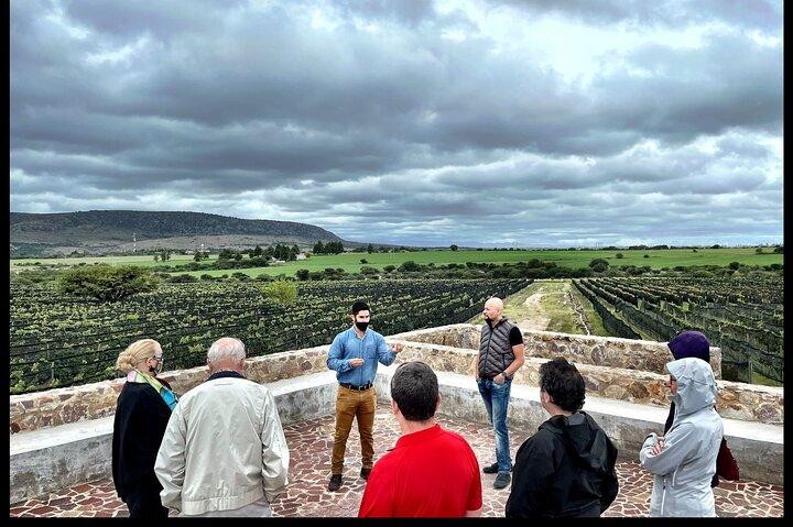 Lokal vingårdstur og vinsmagning i Independence Valley