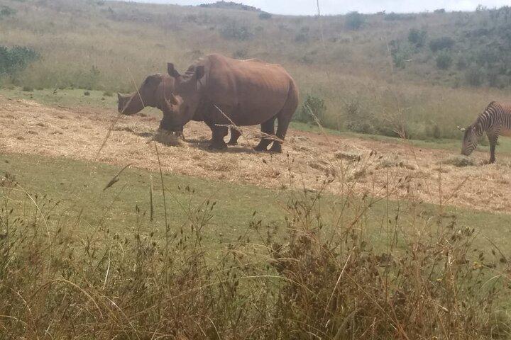 Excursão de 3 dias em Joanesburgo com Safari no Parque Nacional de Pilanesberg