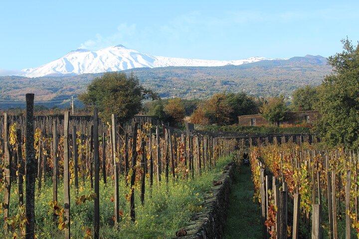 Etna vinsmagning og siciliansk frokost – lille gruppe tur fra Catania