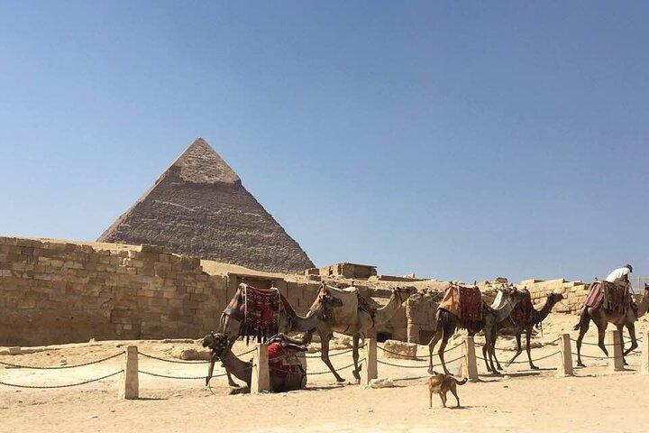 Tour privado guiado de 7 días en El Cairo, Luxor y Asuán