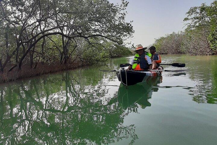 Kajaktur i Holbox mangroveskove