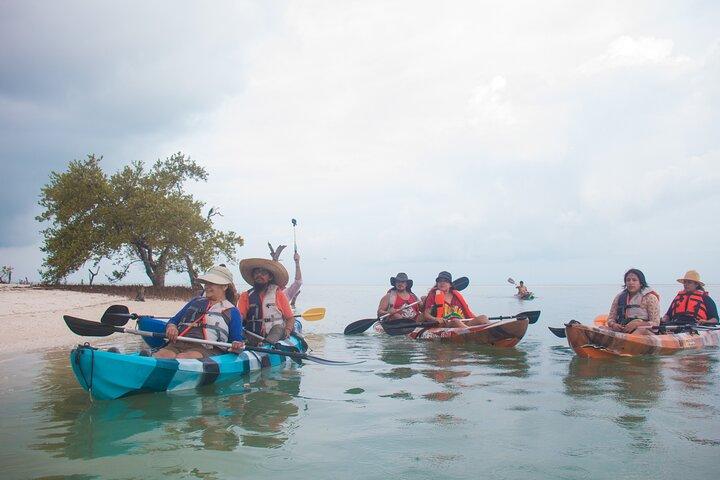 Kajaktur i Holbox mangroveskove