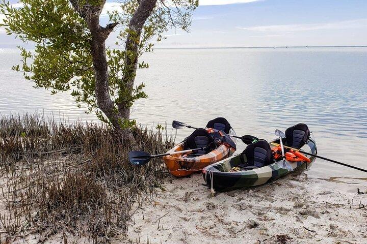 Kajaktur i Holbox mangroveskove