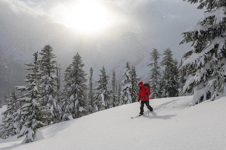 Whistler Backcountry Skiing and Splitboarding