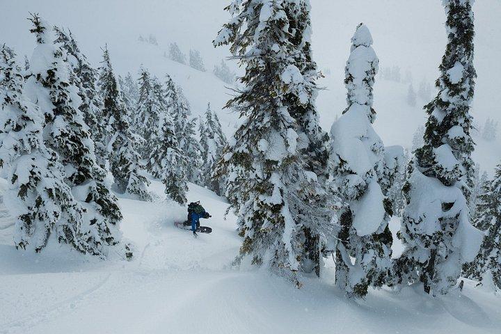 Whistler Backcountry Skiing and Splitboarding