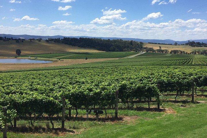 Scenic Private Yarra Valley Wine Tour