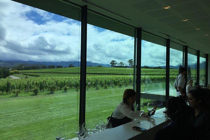Scenic Private Yarra Valley Wine Tour