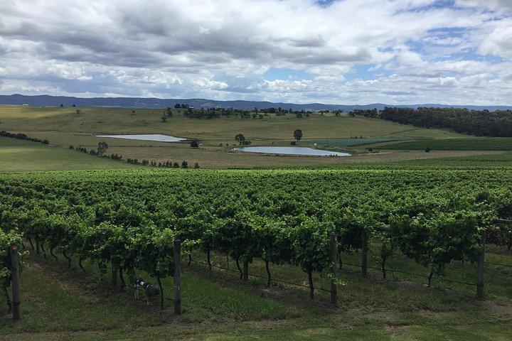 Scenic Private Yarra Valley Wine Tour