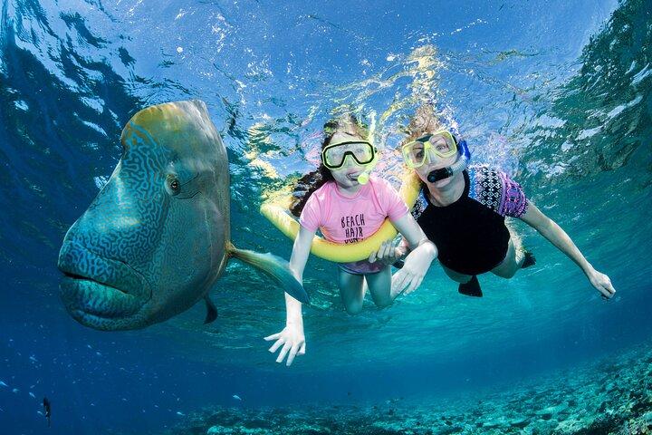ABC Reef Safaris