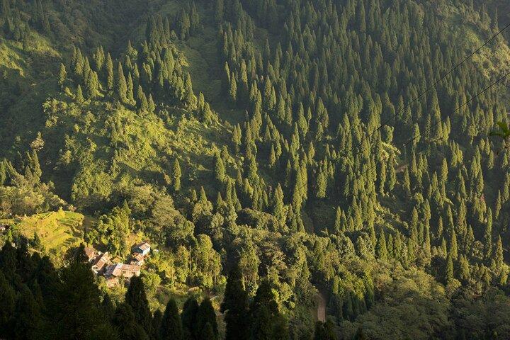 Singalila Ridge Trek, Darjeeling
