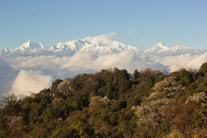 Singalila Ridge Trek, Darjeeling