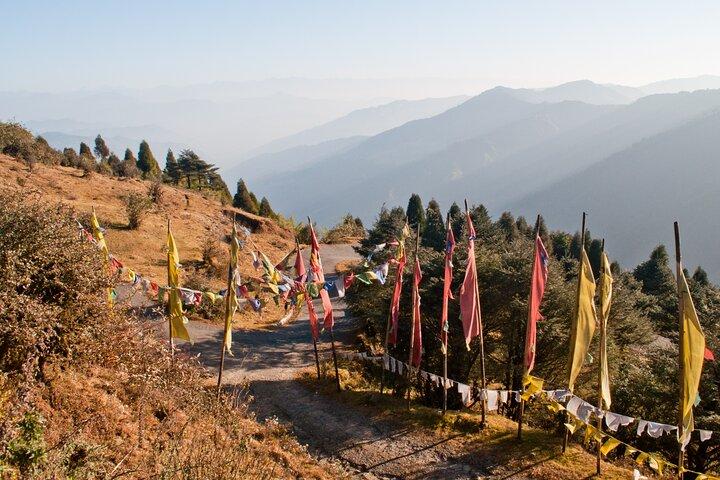 Singalila Ridge Trek, Darjeeling