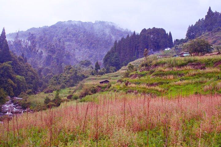 Singalila Ridge Trek, Darjeeling