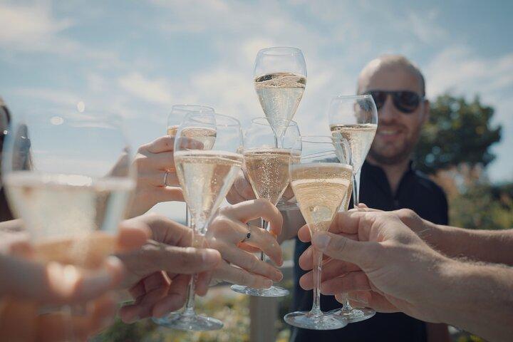 ランス：シャンパーニュ地方での半日サイクリングツアー（試飲付き）