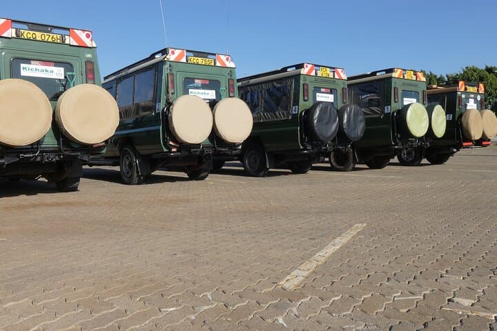 Private Mini Safari Tour in Nairobi National Park
