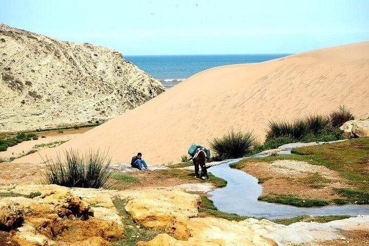 Essaouira and Marrakech transfers