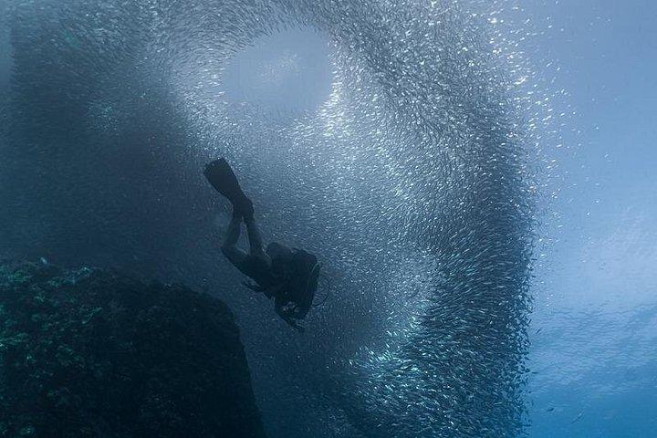 Scuba Diving