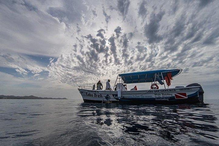 Scuba Diving