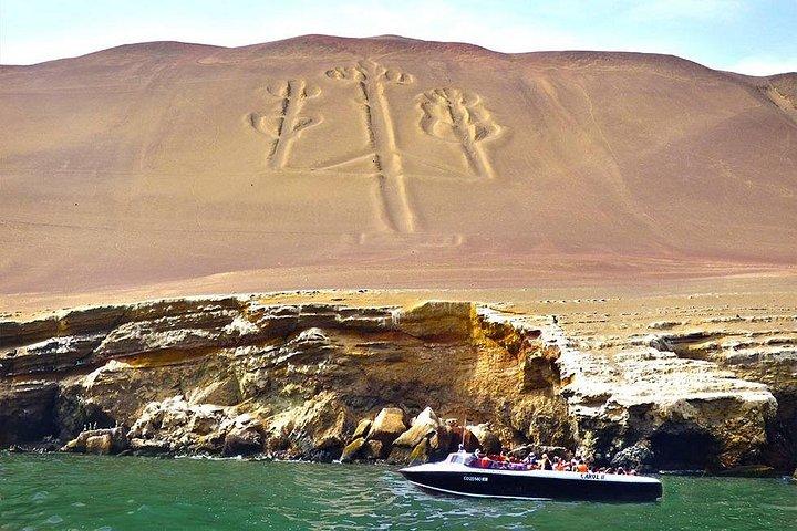 ナスカの地上絵、ワカチナ、バジェスタ島(2D/1N)プライベートツアー