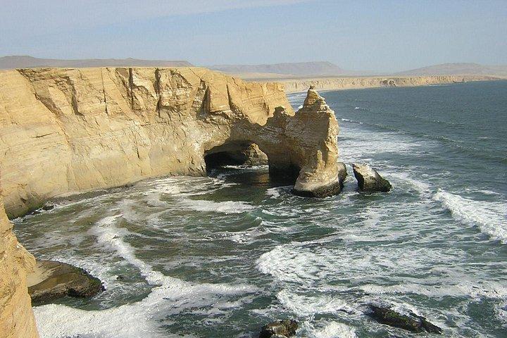 ナスカの地上絵、ワカチナ、バジェスタ島（2D/1N）プライベートツアー