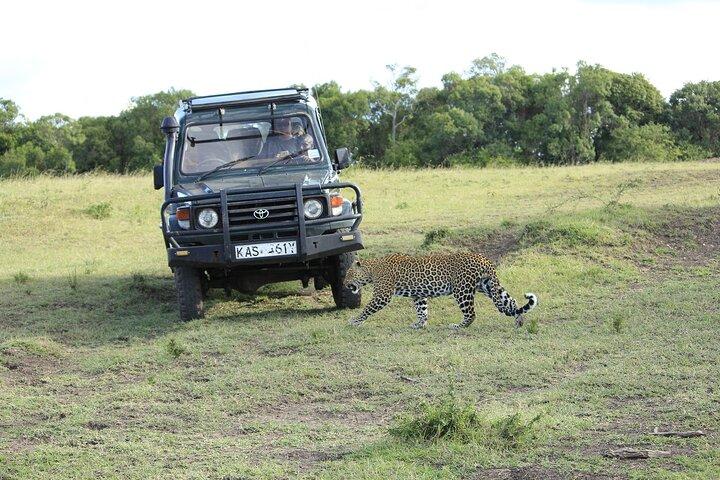 Safari privato in Kenya di 7 giorni Amboseli, Naivasha, Nakuru, Mara