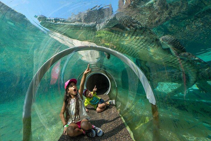 Go City : Miami Explorer Pass - アトラクションを2、3、4、5つ選ぶ