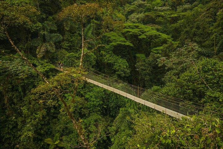 Arenal Highlights : Hängebrücken, Wasserfall & Vulkan