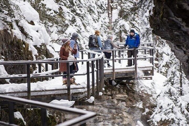 カルガリーまたはバンフ発、バンフ エリアとジョンストン キャニオン 1 日ツアー