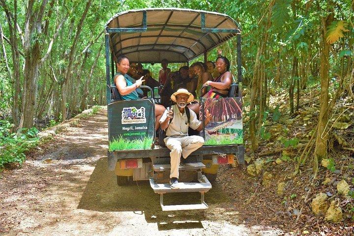 4 Activities Combo Boat Tour with ATV Montego Bay