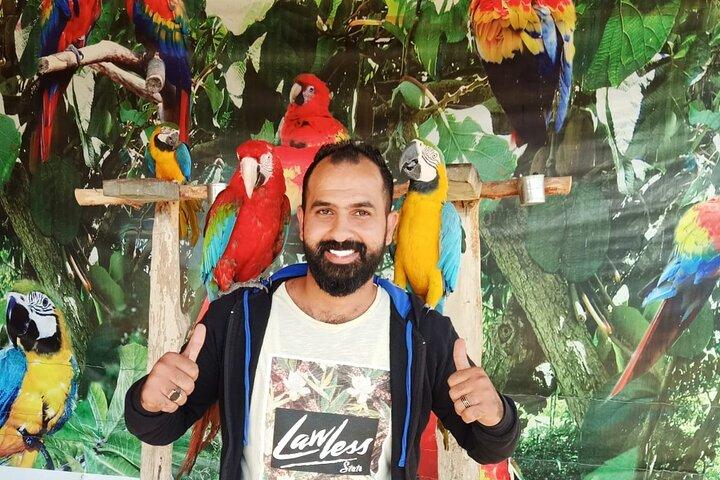 Private Safari Tour naar Africano Park Alexandria vanuit Caïro