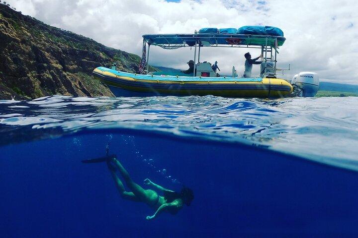 Spedizione di snorkeling per piccoli gruppi a South Kona