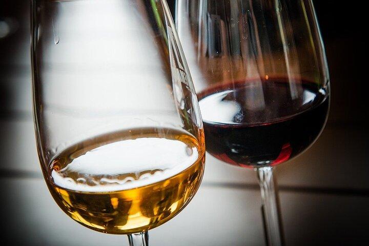 Noche de cata de vinos brasileños