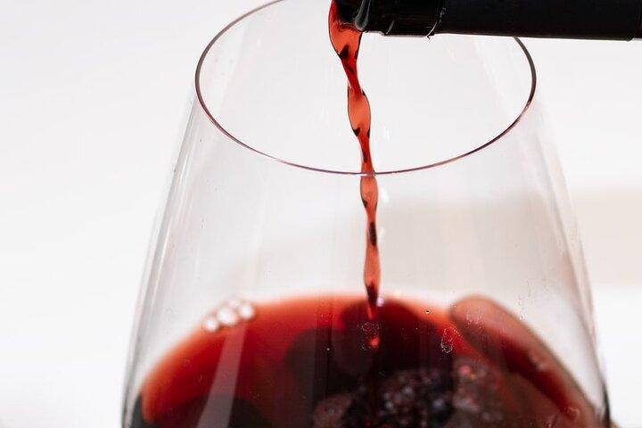 Noche de cata de vinos brasileños