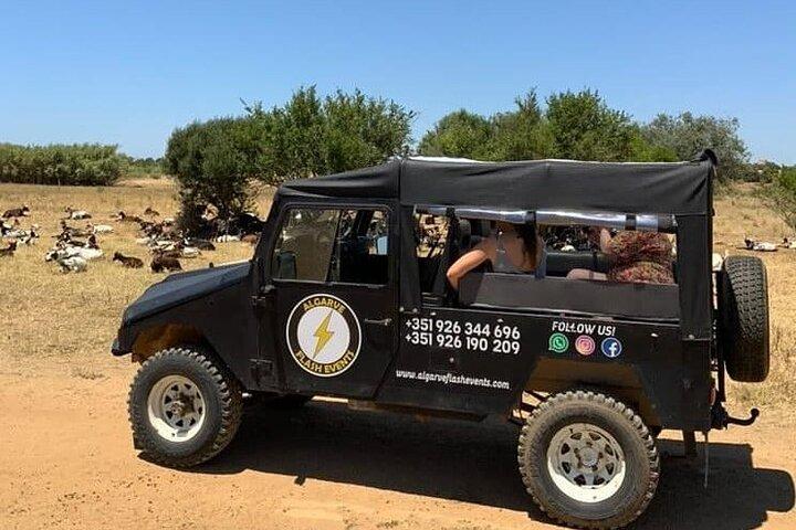 Albufeira Safari mit Krazy World Visit, Bones & Animals