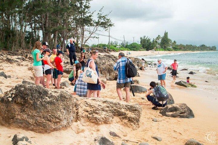 El tour más barato de Oahu por la Isla del Círculo