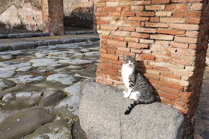 Small Group Pompeii & Mt. Vesuvius Tour: Day Trip with Pickup