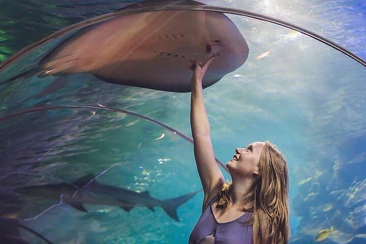 Dubai Aquarium and Underwater Zoo regular pass