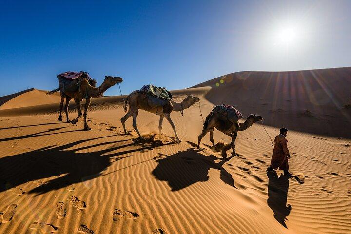Private 2-days Desert tour from Marrakech to Mhamid Dunes Camel