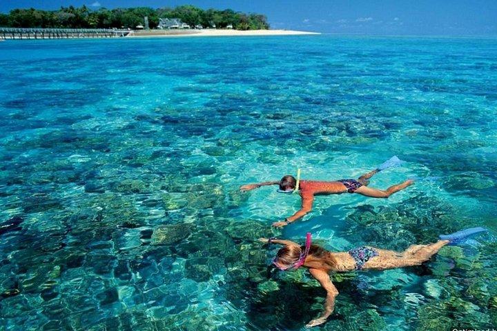 カイロからエル アイン ソクナ紅海への一泊旅行