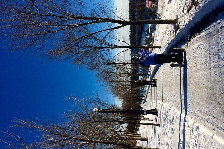 Edmonton River Valley 90-Minuten Winter Segway Trek