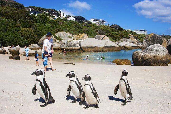 Halbtägige Boulders Penguins und Cape Point Kleingruppentour
