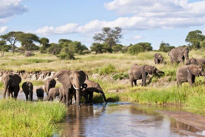 4 Días Parque Nacional Lago Manyara, Cráter Ngorongoro, Parque Nacional Serengeti.