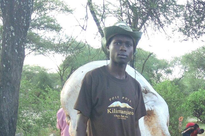 4 Días Parque Nacional Lago Manyara, Cráter Ngorongoro, Parque Nacional Serengeti.