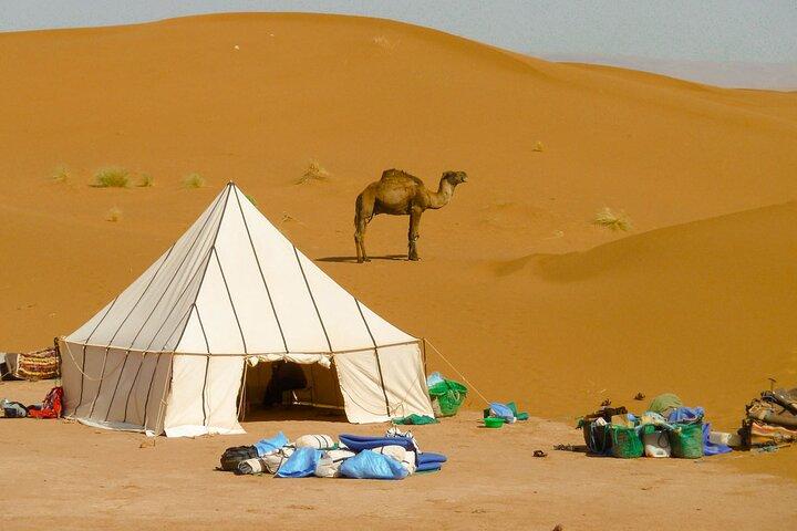 Aventura de senderismo por el desierto de 5 días desde Merzouga
