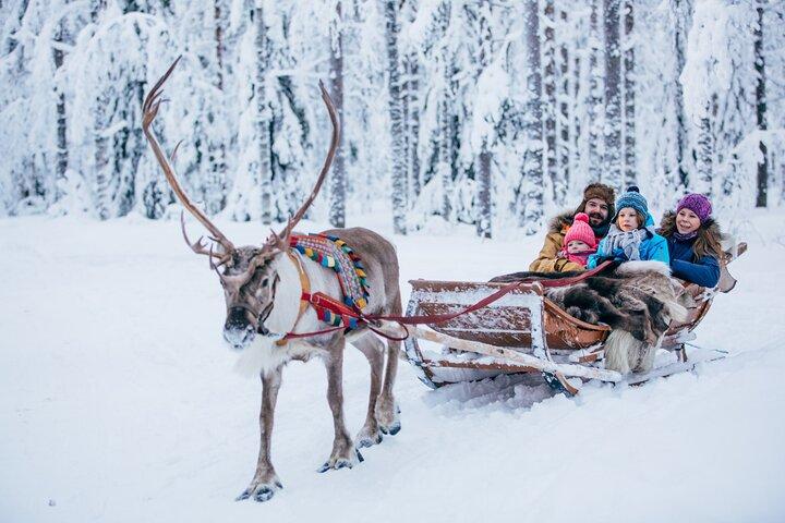Santa Claus Village: Husky og Reindeer Combo med Hotel Transfer