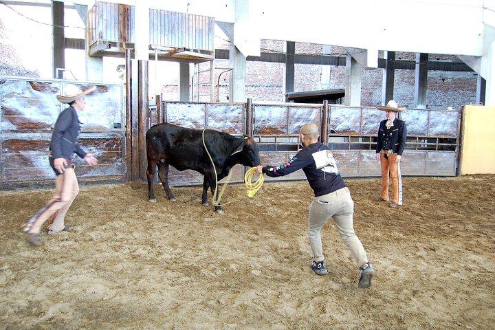Tour Entre Charros